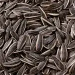 sunflower seeds